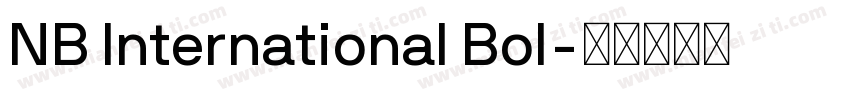 NB International Bol字体转换